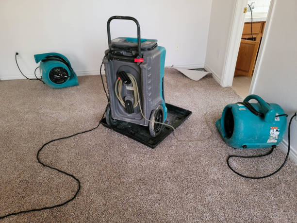 Best Commercial water damage restoration  in Kings Bay Base, GA
