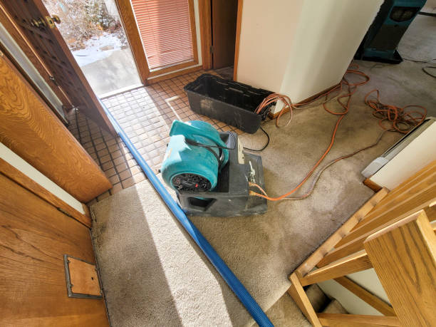 Local water damage restoration in Kings Bay Base, GA