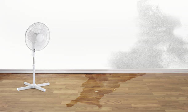 Best Fire Damage Restoration  in Kings Bay Base, GA