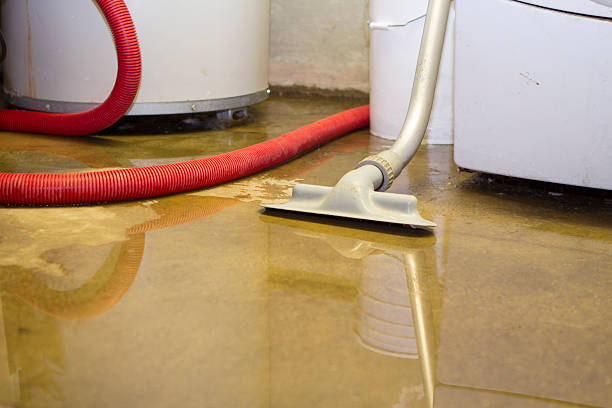 Best Water damage restoration near me  in Kings Bay Base, GA