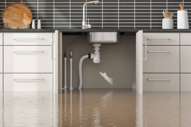 Best 24/7 water damage repair  in Kings Bay Base, GA