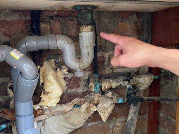Best Local water damage restoration  in Kings Bay Base, GA